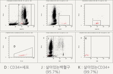 녹십자 제대혈은행(7-AAD 방법)