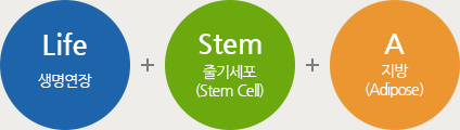 Life(생명연장)+Stem Cell(줄기세포)+Adipose(지방)