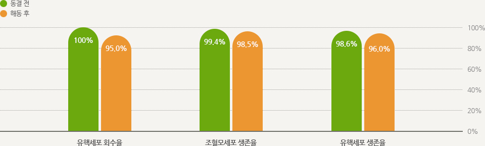 동결 전, 해동 후의 세포 생존율 그래프/유세포 회수율: 동결 전 100%, 해동 후 95% /조혈모세포 생존율: 동결 전 99.4%, 해동 후 98.5% /유핵세포 생존율: 동결 전 98.6%, 해동 후 96%