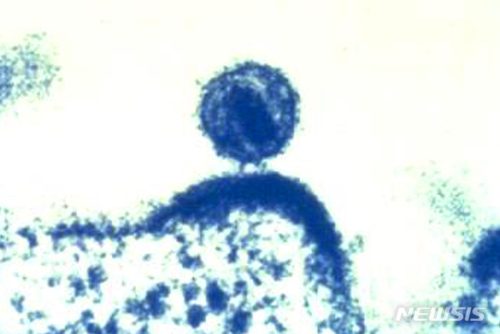 NISI20220204_0018403820_web.jpg